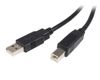 STARTECH 1m USB 2.0 A to B Cable - M/M	 (USB2HAB1M)