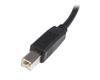 STARTECH 2m USB 2.0 A to B Cable - M/M	 (USB2HAB2M)
