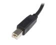 STARTECH 1M USB2 A TO B CABLE - M/M   CABL (USB2HAB1M)