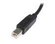 STARTECH "0,5m USB 2.0 A to B Cable - M/M" (USB2HAB50CM)