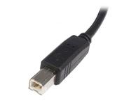 StarTech 2m USB 2.0 A to B Cable M/M - USB-kabel - USB til USB-type B - 2 m (USB2HAB2M)