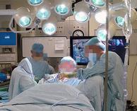 Ergotron Interactive Arm HD monteringssett - Patented Constant Force Technology - for LCD-skjerm - sort trim, polert aluminium (45-296-026)