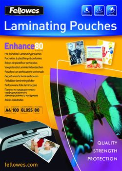 FELLOWES PUNCHED POUCH 228X303 80MIC 100PK (5452502)