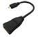 ACCELL HDMI High Speed with Ethernet adapter, micro HDMI ha - HDMI ho