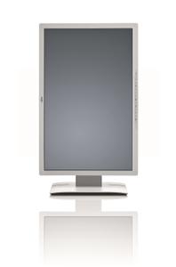 FUJITSU DISPLAY P24W-6 LED (S26361-K1428-V140)