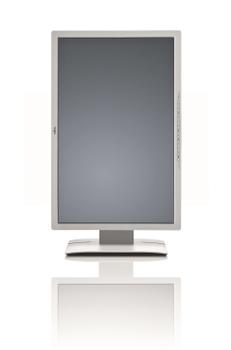 FUJITSU DISPLAY B24W-6 LED (S26361-K1427-V140)