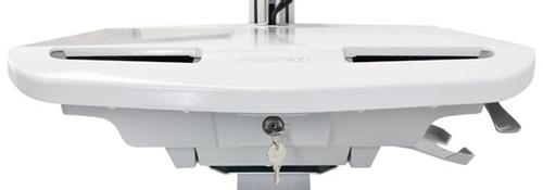 ERGOTRON SV42 LCD STAND 230V50/ 60HZ 40A (SV42-6302-2)