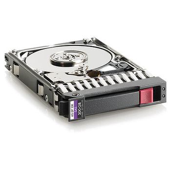 Hewlett Packard Enterprise 300GB hot-plug dual-port SAS hard disk drive - 10,000 RPM (653955-001)