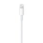 APPLE Lightning to USB Cable (MD818ZM/A)