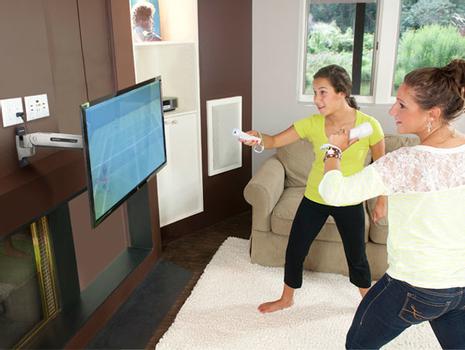 ERGOTRON INTERACTIVE ARM, LD, POLISHED GR ACCS (45-361-026)