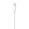 APPLE Lightning to USB-cable (0,5 m) (ME291ZM/A)