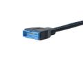AKASA Akasa intern kabel från USB 3.0 till USB 2.0, IDC20 19-pin ha - IDC10 9-pin ho, svart - 15 cm (AK-CBUB19-10BK)