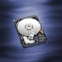 WESTERN DIGITAL WD Blue Mobile 500GB HDD 5400rpm SATA serial ATA 6Gb/s 16MB cache 2.5inch RoHS compliant intern Bulk (WD5000LPCX)