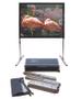 ELITE SCREENS ELITE Q100H1 16:9 H:124.5 W:221 QuickStand Folding Screen includes Aluminum Traveling Wheel Case (Q100H1)