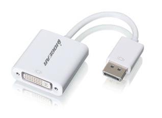 IOGEAR DisplayPort to (GDPDVIW6)