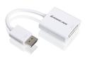 IOGEAR DisplayPort to (GDPDVIW6)