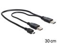DELOCK USB Kabel 2x A -> mini B St/St 0.30m sw (83178)