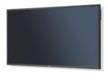 Sharp / NEC MultiSync P801 PublicDisplay 80inch S-PVA 16:9 w/o stand analog HDMI 1.3 DVI-D FullHD 700cd 3.000:1 8ms 2x10W VESA (60003481)