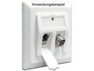 Delock Keystone Wall Outlet Cat6 2-port (86202)