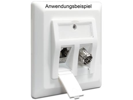 Delock Keystone Wall Outlet Cat6 2-port (86202)