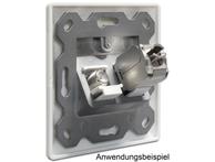 Delock Keystone Wall Outlet Cat6 2-port (86202)