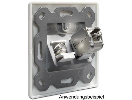 Delock Keystone Wall Outlet Cat6 2-port (86202)