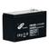 FSP/Fortron UPS Battery 12V9AH for FP800_ EP850_ EP1500(2pc)