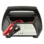 ANSMANN ALCT6-24/ 10 (1001-0014)