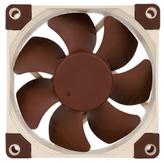Noctua NF-A8 PWM - kabinettvifte (NF-A8 PWM)