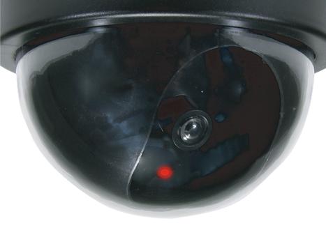 CONCEPTRONIC DUMMY DOME CAMERA (CFCAMD)