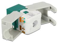 Delock Keystone module - modulinnlegg (86349)