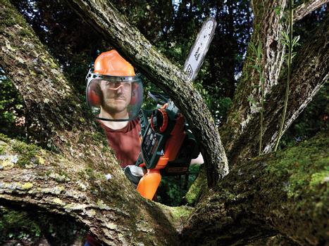 BLACK&DECKER BLACK+DECKER GKC3630L20-QW Kædesav  (GKC3630L20-QW)