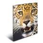 HERMA Sammelmappe A4 Leopard Polypropylen (7137)
