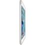 APPLE Silikon Case Graubraun (iPad mini 4) (MKLP2ZM/A)