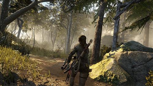 MICROSOFT Rise of the Tomb Raider (PD7-00016)