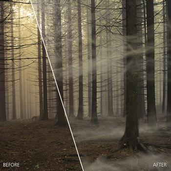 COREL ESD ParticleShop Brush Plug-In designed for PhotoShop Windows + Mac (EN) (ESDPTRPLPART)