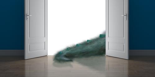 COREL ESD ParticleShop Brush Plug-In designed for PhotoShop Windows + Mac (EN) (ESDPTRPLPART)