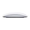 APPLE MAGIC MOUSE 2                                  IN PERP (MLA02Z/A)