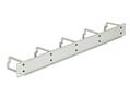 DELOCK 19 Kabelmanagement 1HE grau (42116)