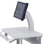 ERGOTRON ACCESSORY SV10 TABLET EASEL NS (98-003)