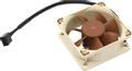 NOCTUA NF-A6x25 PWM Fan - 60x25mm (NF-A6x25-PWM)