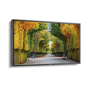 Sharp / NEC MultiSync X554HB 55" Display (60003912)