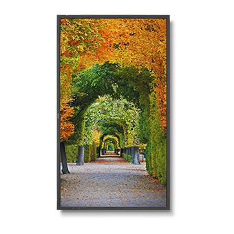 Sharp / NEC MultiSync X554HB 55" Display (60003912)