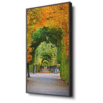 Sharp / NEC MultiSync X554HB 55" Display (60003912)