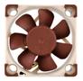 NOCTUA NF-A4x10 5V 40mm Vifte 40 x 40 x 40 mm, 4500 RPM, 8,2 m³/h,  17,9 dBA, 3-pin (NF-A4X10 5V)