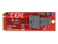 DELOCK M.2 adapter, 1xM.2 hane M fattning, 1xSFF-8643,  2260, NVMe (62721)