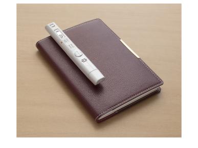 OLYMPUS VP-10 Ni-MH Battery+ USB Cable (V413111WE000)