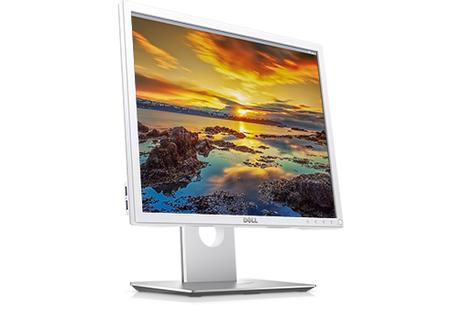 DELL P1917SWh - LED-skjerm - 19" (0KHD9)