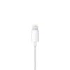APPLE EarPods with Lightning Connector (MMTN2ZM/A)