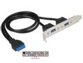 DELOCK Slot bracket 1 x 19 pin USB 3.0 pin header female internal > 2 x USB 3.0 Type-A female external (84836)